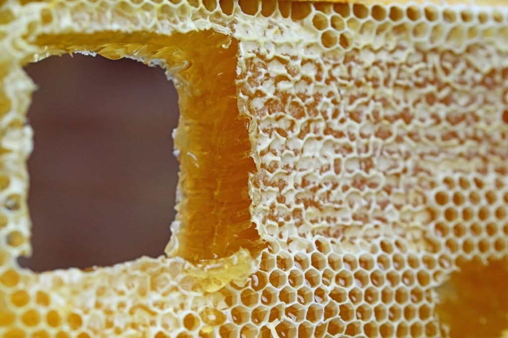 Beneficios de la cera de abeja para la piel